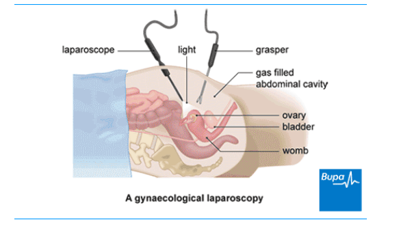 diseasesAtoZ