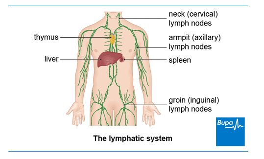 diseasesAtoZ