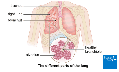 diseasesAtoZ