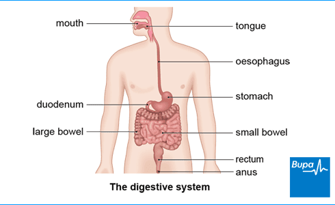 diseasesAtoZ