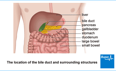 diseasesAtoZ