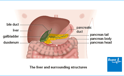 diseasesAtoZ