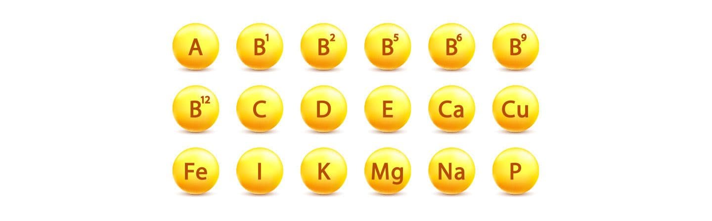 Vitamins and Their Functions